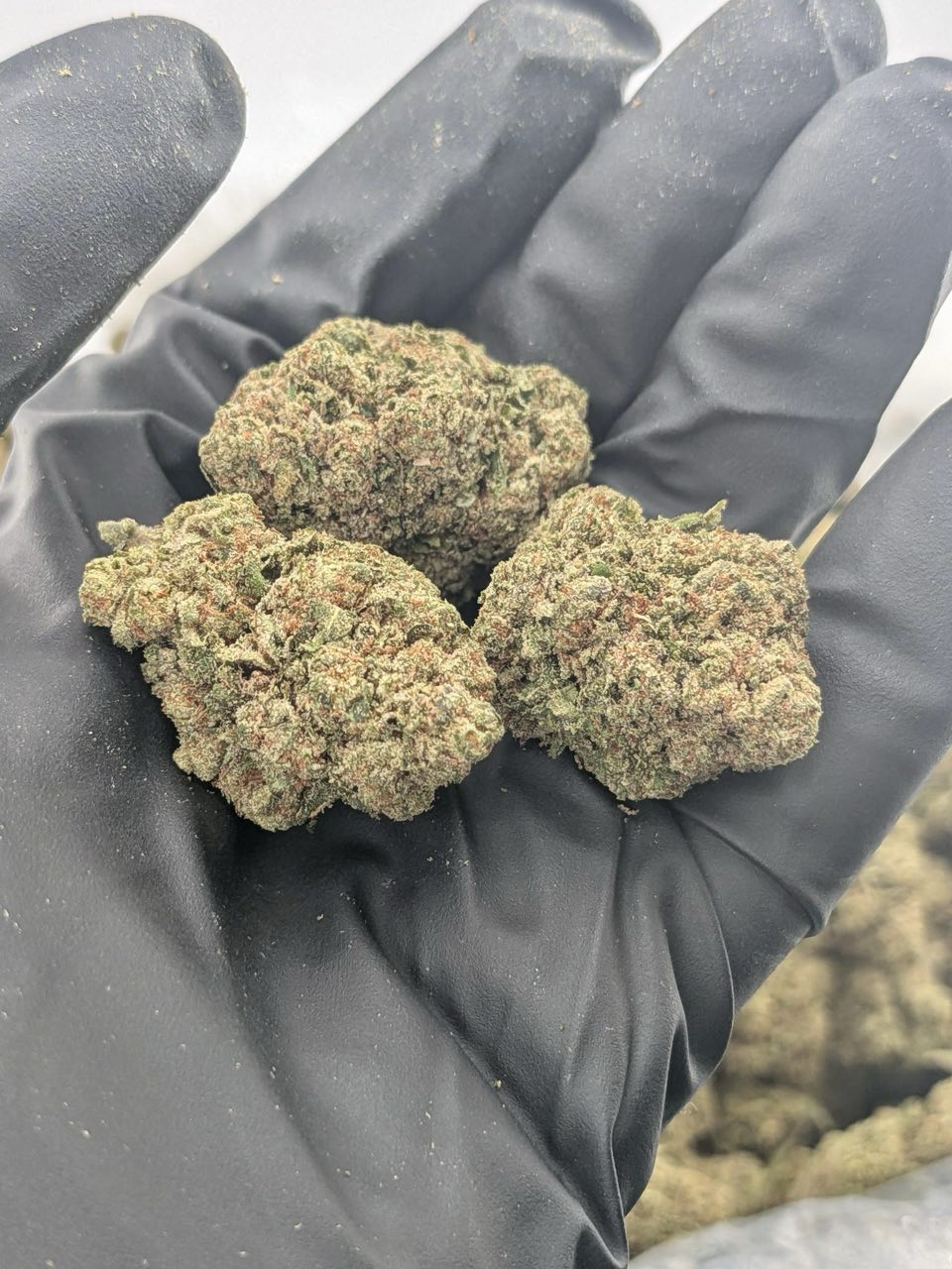 Candy Runtz Smalls strain